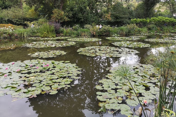 Water-lily pond in Monet’s garden at Giverny